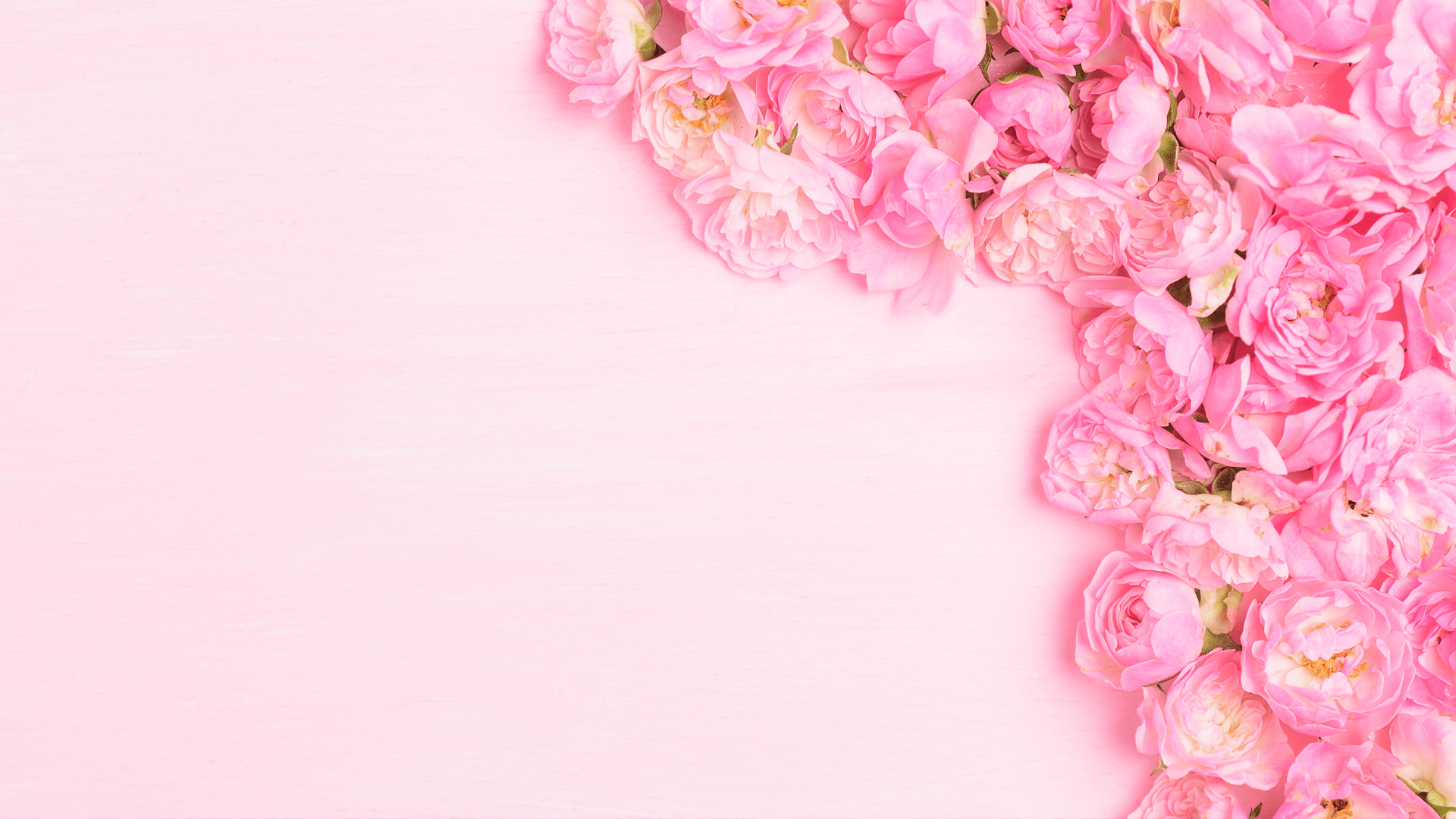 banner image pink flowers
